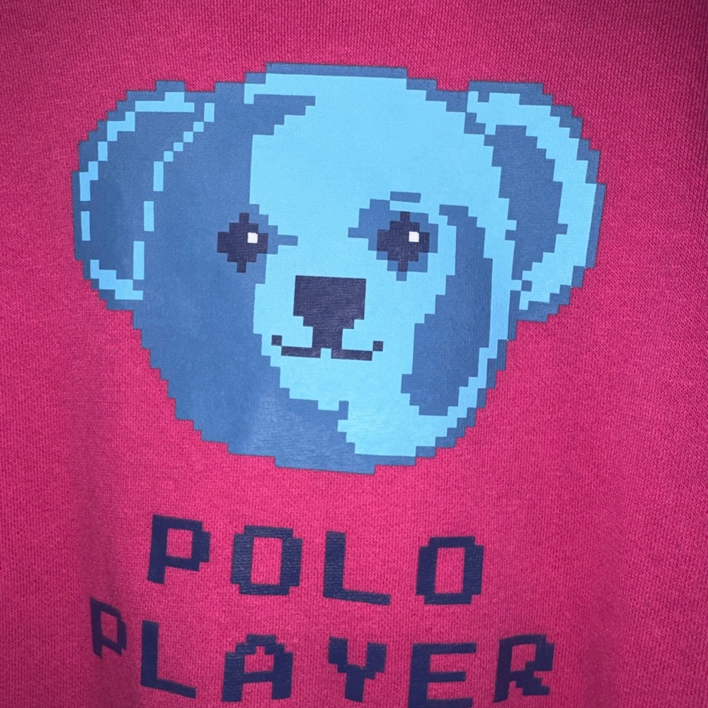 POLO Ralph Lauren Bright Pink Graphic sweater